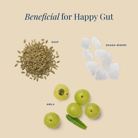 Happy Gut
