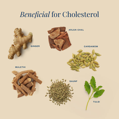 Cholesterol Care