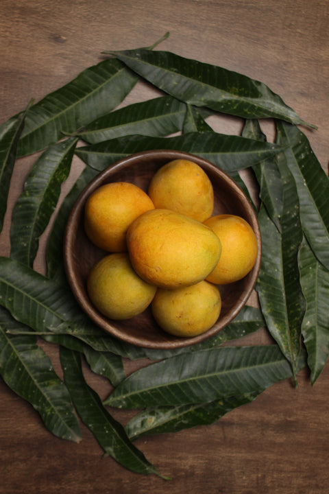 Organic Alphonso Mangoes