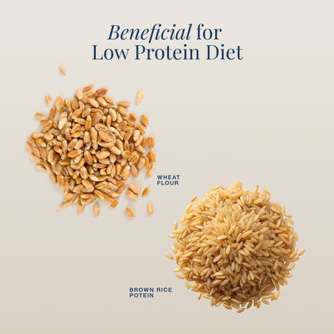 Protein Atta