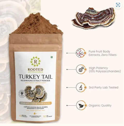 Organic Turkey Tail Mushroom Extract Powder