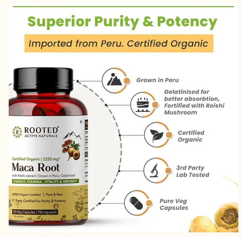 Maca Root Capsules