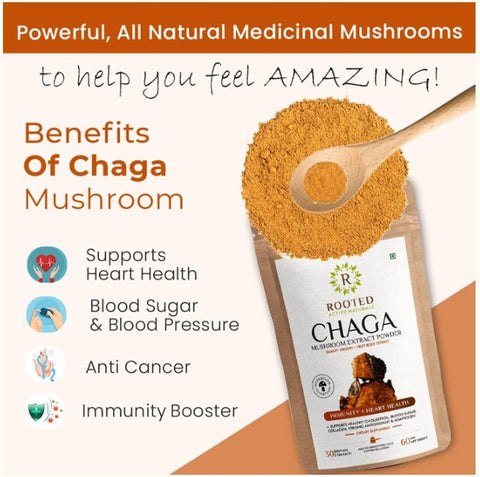 Siberian Chaga Mushroom Extract Powder, > 35% Beta Glucans