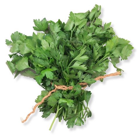 Flat Parsley