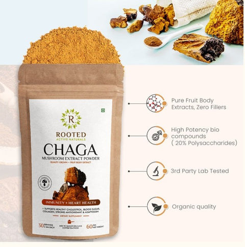 Siberian Chaga Mushroom Extract Powder, > 35% Beta Glucans