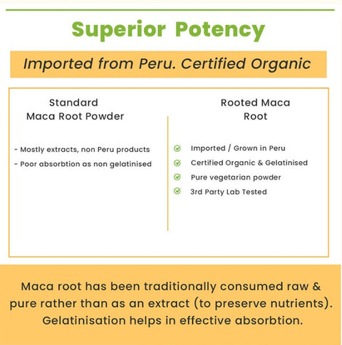 Maca Root Powder