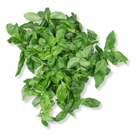 Sweet Basil