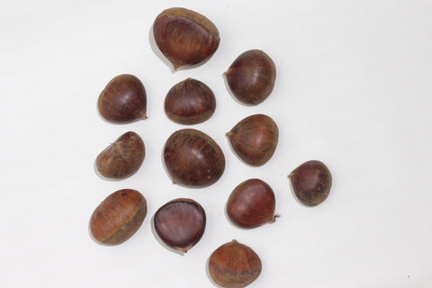 Himalayan Chestnuts