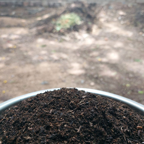 Bhoomija (Natural Compost)